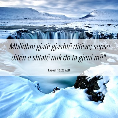 Picture 06 - Eksodi 16:26 ALB - Mblidhni gjatë gjashtë ditëve; sepse ditën e - Bible Verse Picture