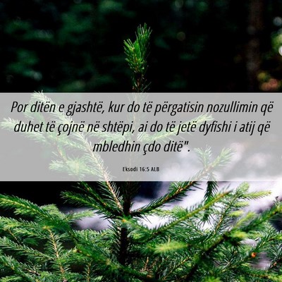 Picture 06 - Eksodi 16:5 ALB - Por ditën e gjashtë, kur do të përgatisin - Bible Verse Picture