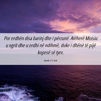 Picture 06 - Eksodi 2:17 ALB - Por erdhën disa barinj dhe i përzunë. - Bible Verse Picture