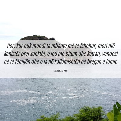 Picture 06 - Eksodi 2:3 ALB - Por, kur nuk mundi ta mbante më të fshehur, - Bible Verse Picture