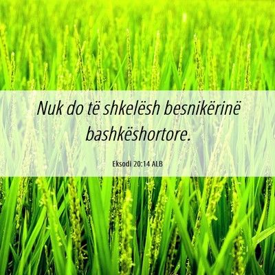 Picture 06 - Eksodi 20:14 ALB - Nuk do të shkelësh besnikërinë - Bible Verse Picture