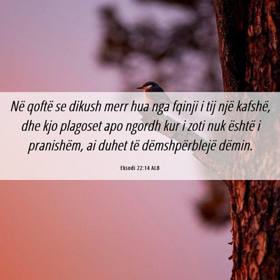 Picture 06 - Eksodi 22:14 ALB - Në qoftë se dikush merr hua nga fqinji i tij - Bible Verse Picture