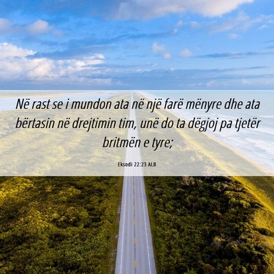Picture 06 - Eksodi 22:23 ALB - Në rast se i mundon ata në një farë mënyre - Bible Verse Picture