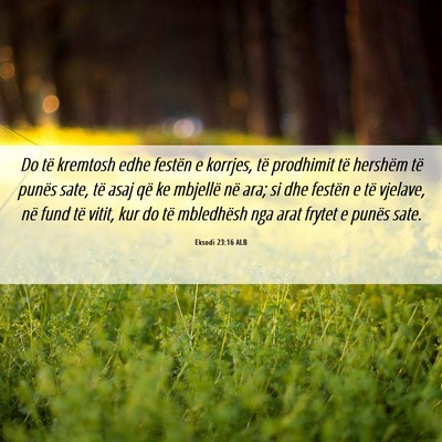 Picture 06 - Eksodi 23:16 ALB - Do të kremtosh edhe festën e korrjes, të - Bible Verse Picture