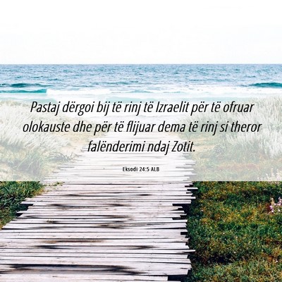 Picture 06 - Eksodi 24:5 ALB - Pastaj dërgoi bij të rinj të Izraelit për të - Bible Verse Picture
