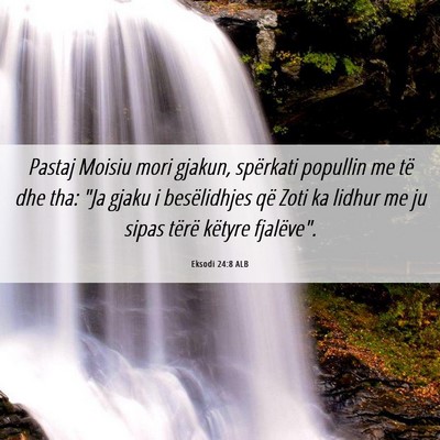 Picture 06 - Eksodi 24:8 ALB - Pastaj Moisiu mori gjakun, spërkati popullin me - Bible Verse Picture