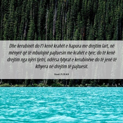 Picture 06 - Eksodi 25:20 ALB - Dhe kerubinët do t’i kenë krahët e hapura me - Bible Verse Picture