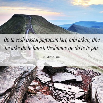 Picture 06 - Eksodi 25:21 ALB - Do ta vësh pastaj pajtuesin lart, mbi arkën; - Bible Verse Picture