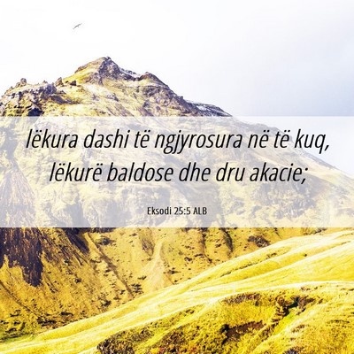 Picture 06 - Eksodi 25:5 ALB - lëkura dashi të ngjyrosura në të kuq, - Bible Verse Picture