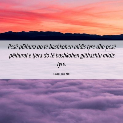Picture 06 - Eksodi 26:3 ALB - Pesë pëlhura do të bashkohen midis tyre dhe - Bible Verse Picture