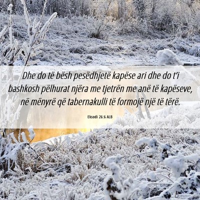Picture 06 - Eksodi 26:6 ALB - Dhe do të bësh pesëdhjetë kapëse ari dhe do - Bible Verse Picture