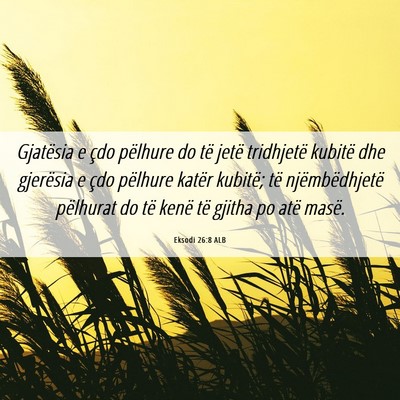 Picture 06 - Eksodi 26:8 ALB - Gjatësia e çdo pëlhure do të jetë tridhjetë - Bible Verse Picture