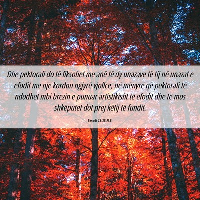 Picture 06 - Eksodi 28:28 ALB - Dhe pektorali do të fiksohet me anë të dy - Bible Verse Picture