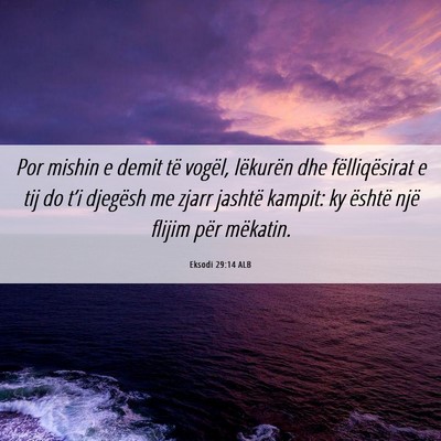 Picture 06 - Eksodi 29:14 ALB - Por mishin e demit të vogël, lëkurën dhe - Bible Verse Picture