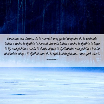 Picture 06 - Eksodi 29:20 ALB - Do ta therësh dashin, do të marrësh prej - Bible Verse Picture