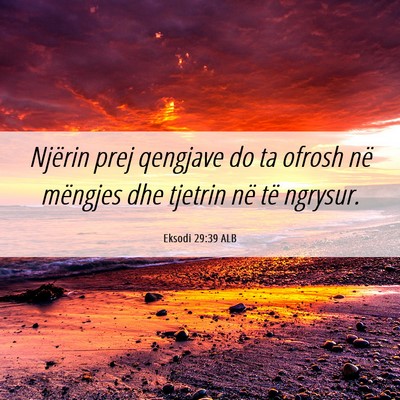 Picture 06 - Eksodi 29:39 ALB - Njërin prej qengjave do ta ofrosh në mëngjes - Bible Verse Picture