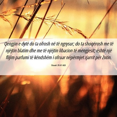 Picture 06 - Eksodi 29:41 ALB - Qengjin e dytë do ta ofrosh në të ngrysur; do - Bible Verse Picture