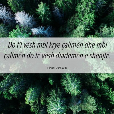 Picture 06 - Eksodi 29:6 ALB - Do t’i vësh mbi krye çallmën dhe mbi - Bible Verse Picture