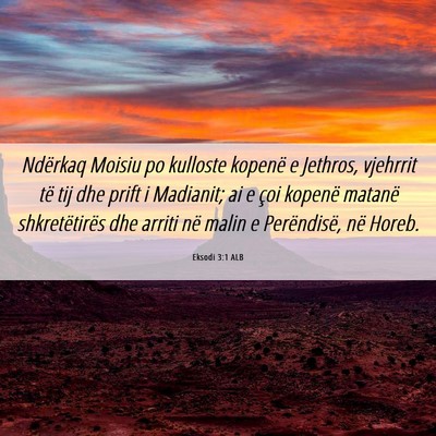 Picture 06 - Eksodi 3:1 ALB - Ndërkaq Moisiu po kulloste kopenë e Jethros, - Bible Verse Picture