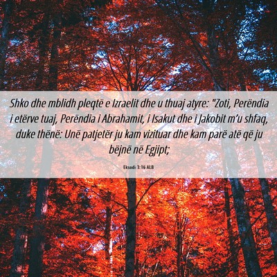 Picture 06 - Eksodi 3:16 ALB - Shko dhe mblidh pleqtë e Izraelit dhe u thuaj - Bible Verse Picture