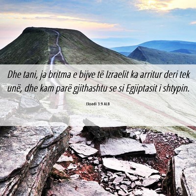 Picture 06 - Eksodi 3:9 ALB - Dhe tani, ja britma e bijve të Izraelit ka - Bible Verse Picture