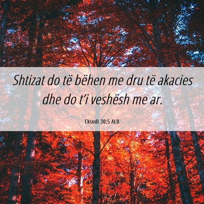 Picture 06 - Eksodi 30:5 ALB - Shtizat do të bëhen me dru të akacies dhe do - Bible Verse Picture