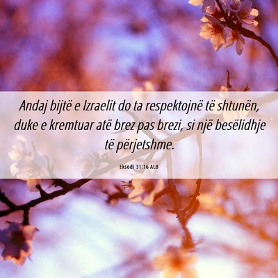 Picture 06 - Eksodi 31:16 ALB - Andaj bijtë e Izraelit do ta respektojnë të - Bible Verse Picture