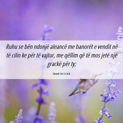Picture 06 - Eksodi 34:12 ALB - Ruhu se bën ndonjë aleancë me banorët e - Bible Verse Picture