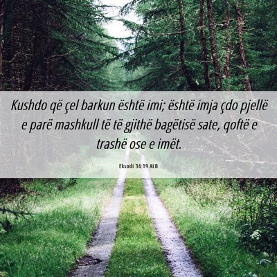 Picture 06 - Eksodi 34:19 ALB - Kushdo që çel barkun është imi; është imja - Bible Verse Picture