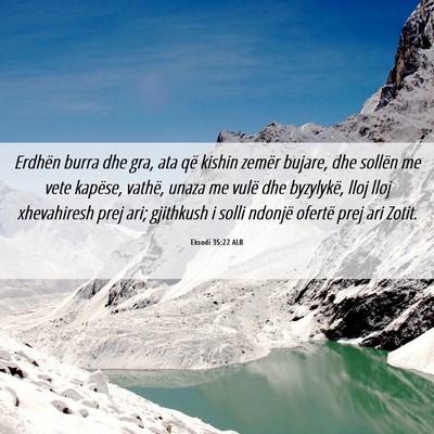 Picture 06 - Eksodi 35:22 ALB - Erdhën burra dhe gra, ata që kishin zemër - Bible Verse Picture