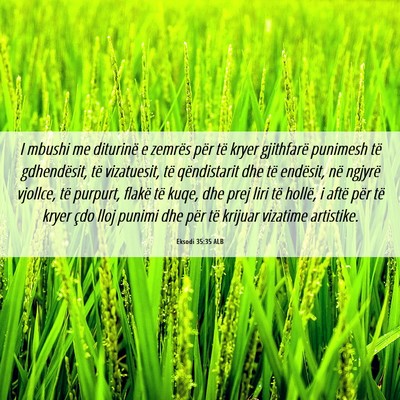Picture 06 - Eksodi 35:35 ALB - I mbushi me diturinë e zemrës për të kryer - Bible Verse Picture