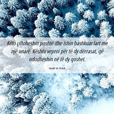 Picture 06 - Eksodi 36:29 ALB - Këto çiftoheshin poshtë dhe ishin bashkuar - Bible Verse Picture