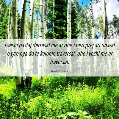 Picture 06 - Eksodi 36:34 ALB - I veshi pastaj dërrasat me ar dhe i bëri prej - Bible Verse Picture