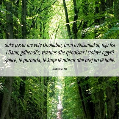 Picture 06 - Eksodi 38:23 ALB - duke pasur me vete Oholiabin, birin e Ahisamakut, - Bible Verse Picture