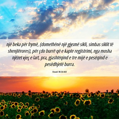 Picture 06 - Eksodi 38:26 ALB - një beka për frymë, (domethënë një gjysmë - Bible Verse Picture