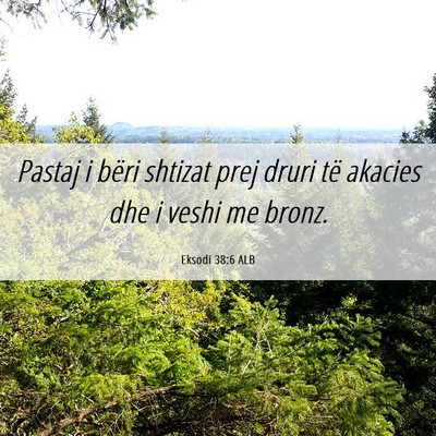 Picture 06 - Eksodi 38:6 ALB - Pastaj i bëri shtizat prej druri të akacies dhe - Bible Verse Picture