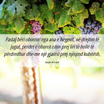 Picture 06 - Eksodi 38:9 ALB - Pastaj bëri oborrin: nga ana e Negevit, në - Bible Verse Picture