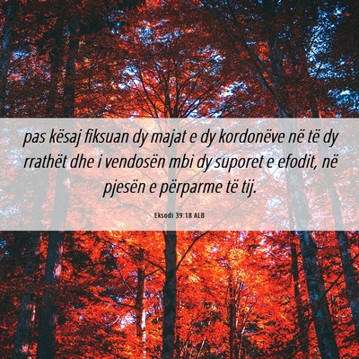 Picture 06 - Eksodi 39:18 ALB - pas kësaj fiksuan dy majat e dy kordonëve në - Bible Verse Picture