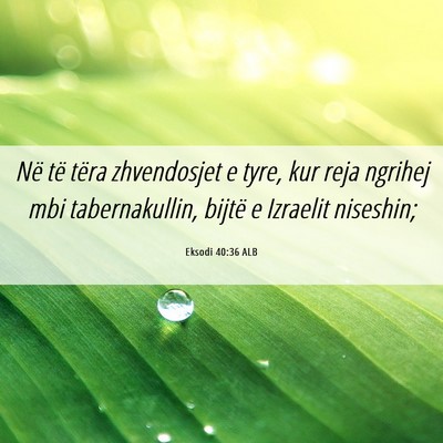 Picture 06 - Eksodi 40:36 ALB - Në të tëra zhvendosjet e tyre, kur reja - Bible Verse Picture