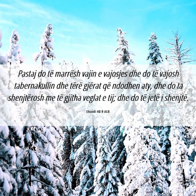 Picture 06 - Eksodi 40:9 ALB - Pastaj do të marrësh vajin e vajosjes dhe do - Bible Verse Picture