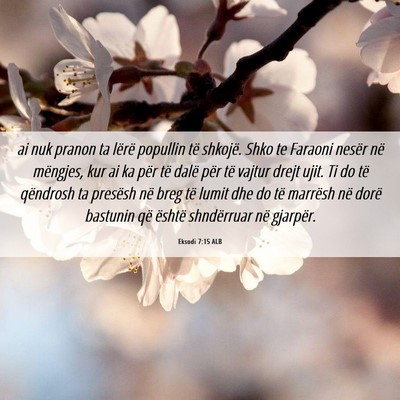 Picture 06 - Eksodi 7:15 ALB - ai nuk pranon ta lërë popullin të shkojë. - Bible Verse Picture
