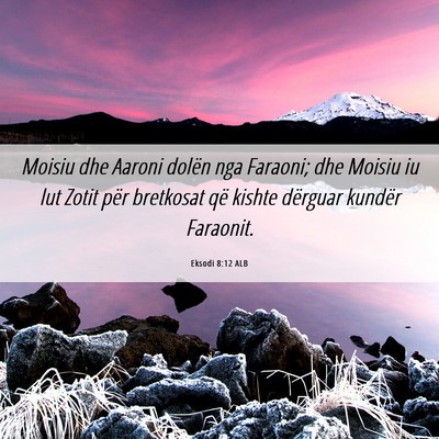 Picture 06 - Eksodi 8:12 ALB - Moisiu dhe Aaroni dolën nga Faraoni; dhe Moisiu - Bible Verse Picture