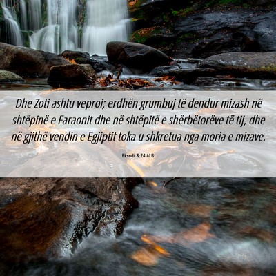 Picture 06 - Eksodi 8:24 ALB - Dhe Zoti ashtu veproi; erdhën grumbuj të dendur - Bible Verse Picture