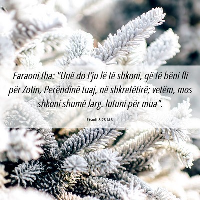 Picture 06 - Eksodi 8:28 ALB - Faraoni tha: 
