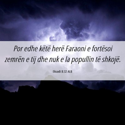 Picture 06 - Eksodi 8:32 ALB - Por edhe këtë herë Faraoni e fortësoi zemrën - Bible Verse Picture