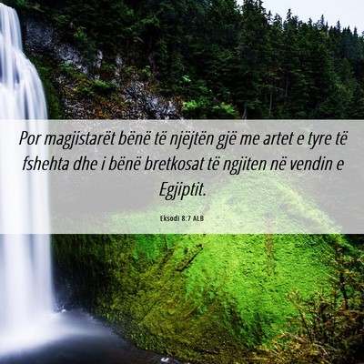 Picture 06 - Eksodi 8:7 ALB - Por magjistarët bënë të njëjtën gjë me - Bible Verse Picture