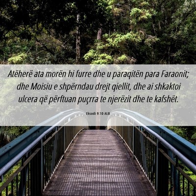 Picture 06 - Eksodi 9:10 ALB - Atëherë ata morën hi furre dhe u paraqitën - Bible Verse Picture