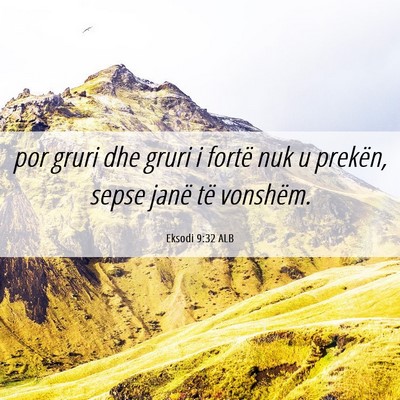Picture 06 - Eksodi 9:32 ALB - por gruri dhe gruri i fortë nuk u prekën, sepse - Bible Verse Picture