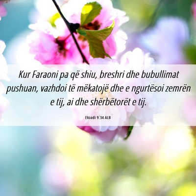 Picture 06 - Eksodi 9:34 ALB - Kur Faraoni pa që shiu, breshri dhe bubullimat - Bible Verse Picture