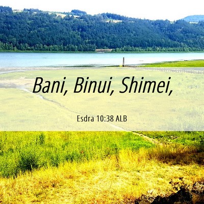 Picture 06 - Esdra 10:38 ALB - Bani, Binui, - Bible Verse Picture